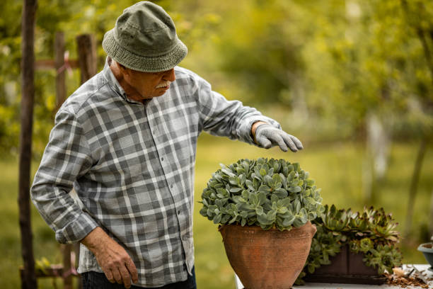 istock Senior man taking care for plant in back yard 1224473111