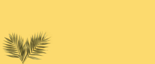 istock Minimal tropical green palm leaf on yellow  paper background. 1224476179