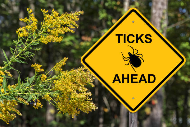 Ticks Ahead Warning Sign Ticks Ahead Caution Sign lyme disease photos stock pictures, royalty-free photos & images