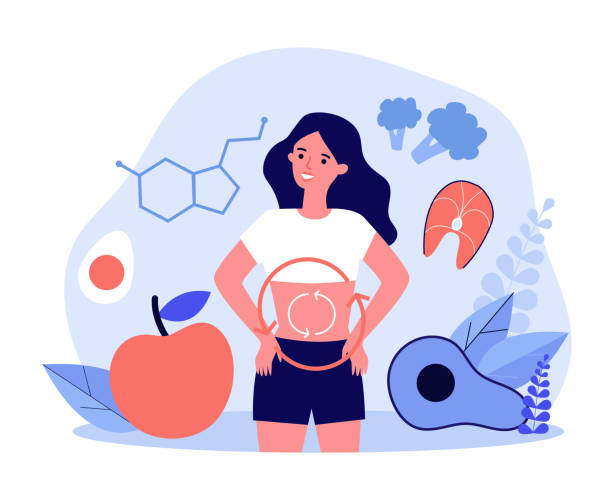 Metabolism of human organism Metabolism of human organism flat vector illustration. Cartoon young woman eating diet food for energy. Digestion, metabolic system and hormones concept metabolism illustrations stock illustrations