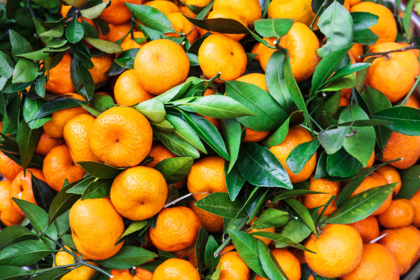 거리에서 시장에서 잘 익은 귤 - citrus fruit mandarin orange orange large group of objects 뉴스 사진 이미지