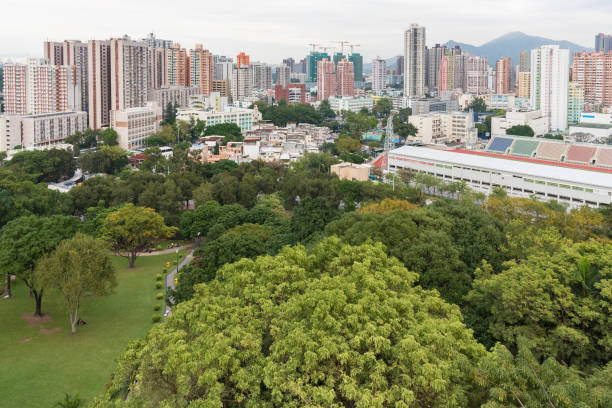 istock Yuen Long district in Hong Kong city 1224483720
