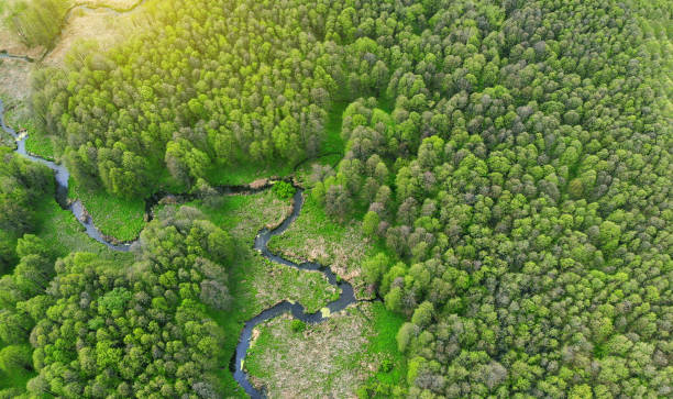 istock Aerial. Beautiful landscape with summer forest and river. View above from drone. 1224486281