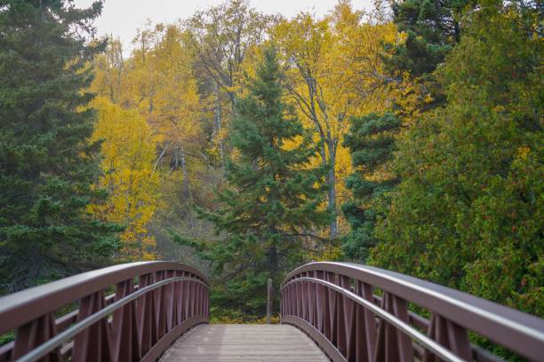 Scenic view on a bridge at Gooseberry Falls State Park in Autumn, vertical