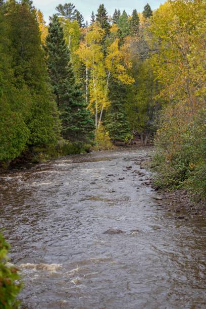istock Gooseberry River in Northern Minnesota 1224488028