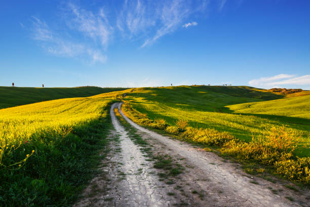istock Italy spring countryside landscape 1224488092