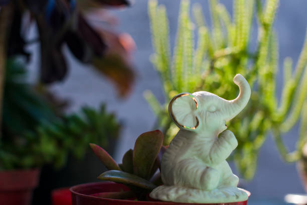 istock A Decorative Elephant and some plant in exterior with sun light 1224496000