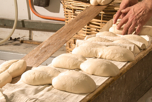 Fresh Chilean rustic marraqueta breads in a bakery factory. Fresh Bread hand made close up. Bakery, food concept. Artisanal bakery: Fresh mixed Bun, rolls and ingredients. Bread production in bakery factory.