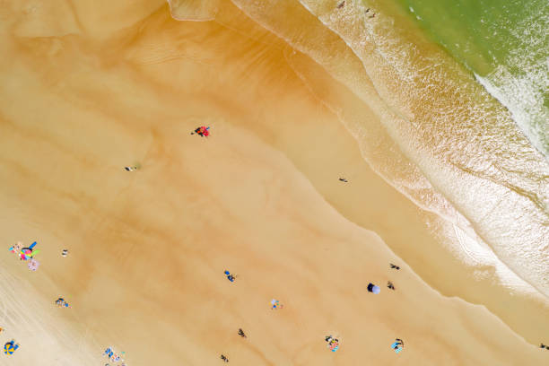 istock Aerial drone image of Daytona Beach FL 1224496935
