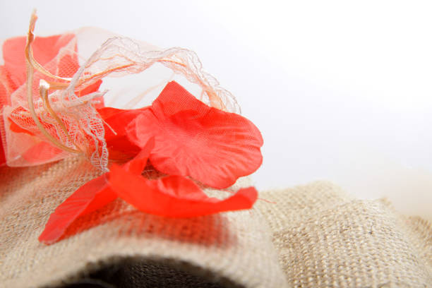istock Group of red petals for abstract background / wallpaper 1224497234
