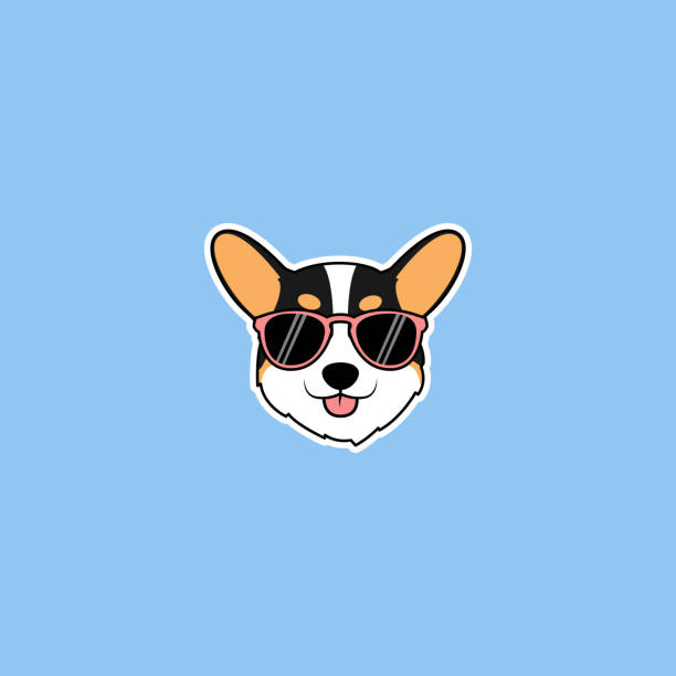Cute Corgi Tricolor Dog Face With Sunglasses Cartoon Vector Illustration  Stock Illustration - Download Image Now - iStock