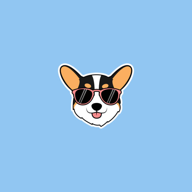 Cute Corgi Tricolor Dog Face With Sunglasses Cartoon Vector Illustration Stock Illustration - Download Image Now - iStock Cute Corgi Tricolor Dog Face With Sunglasses Cartoon Vector Illustration Stock Illustration - Download Image Now - iStock
