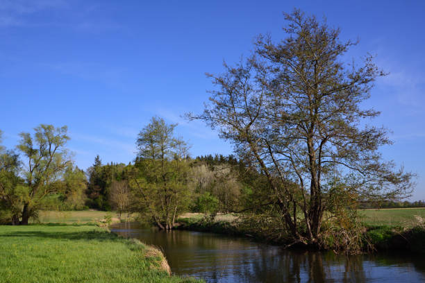 istock Quiet landscape by the river in spring with delicate meadows and trees against a blue sky in Bavaria / Germany 1224502288