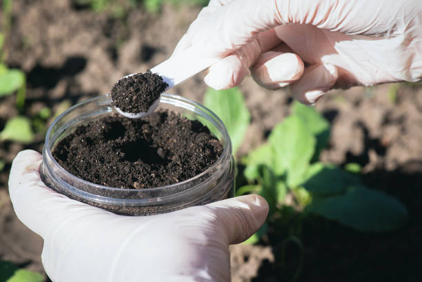 Soil science. Soil science concept. A scientist is taking a sample of soil close up. soil sample stock pictures, royalty-free photos & images