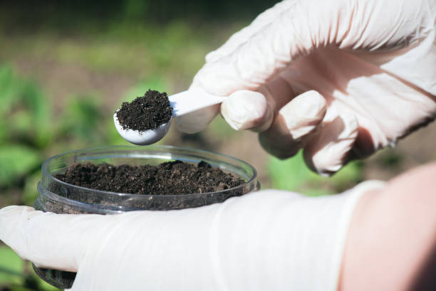 Soil science. Soil science concept. A scientist is taking a sample of soil close up. soil sample stock pictures, royalty-free photos & images