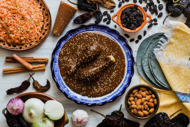 mole mexicano, ingredientes de toupeira poblano, comida apimentada mexicana tradicional no méxico - chicken pasta meal food - fotografias e filmes do acervo