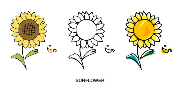 słonecznik ilustracji ręcznie rysowane styl szkic wektora zestaw ikon - design yellow floral pattern design element stock illustrations