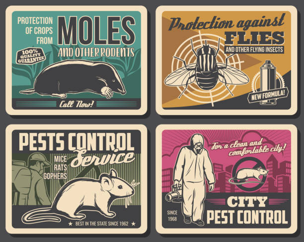ilustrações, clipart, desenhos animados e ícones de extermínio de roedores, pôster de controle de pragas de insetos - service pest insect fly