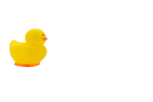 istock Yellow rubber duck, baby bath toy on white background 1224514975