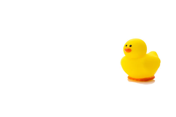 istock Yellow rubber duck, baby bath toy on white background 1224514981