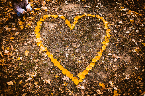 Above view of heart shape made of autumn leaves at the park with unrecognizable child next to it. Copy space.