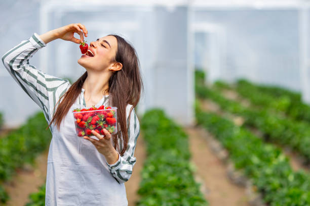 istock Strawberry growers with harvest 1224520822