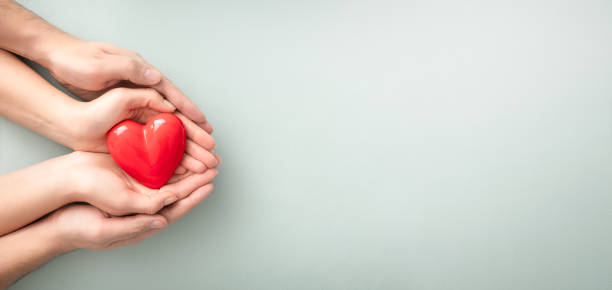 The adult and the child holding red heart. An adult, mother and child hold a red heart in their hands. Concept for charity, health insurance, love, international cardiology day. donors choose stock pictures, royalty-free photos & images