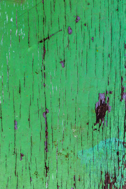 istock Abstract of green wood 1224524135