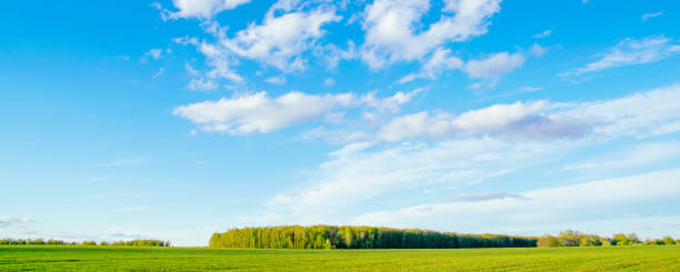 istock Spring or summer landscape. Field and green forest against a blue sky with clouds 1224526680