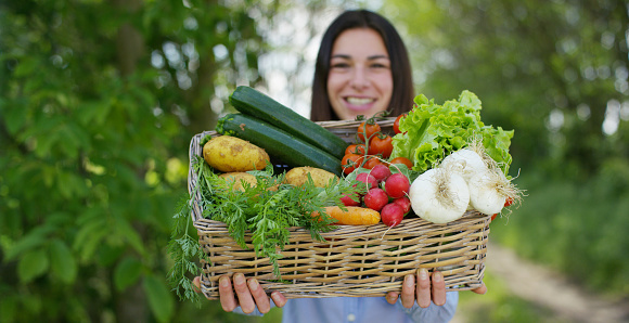 A young farmer is working with her biological product of vegetables. Concept: biology, bio products, bio ecology, grow vegetables, vegetarians, natural clean and fresh product.