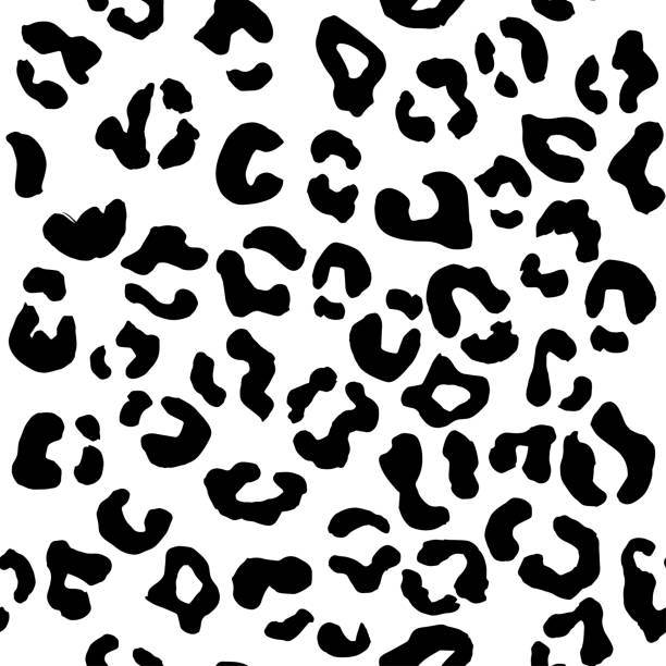 leopard nahtlose muster. vektor-tier-druck. schwarze flecken auf weißem hintergrund. jaguar, leopard, gepard, pantherfell. leopard haut nachahmen kann auf kleidung oder stoff gemalt werden. - animal skin stock-grafiken, -clipart, -cartoons und -symbole