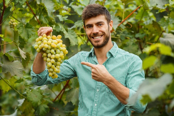 istock Farmers hands with freshly harvested grapes 1224529737