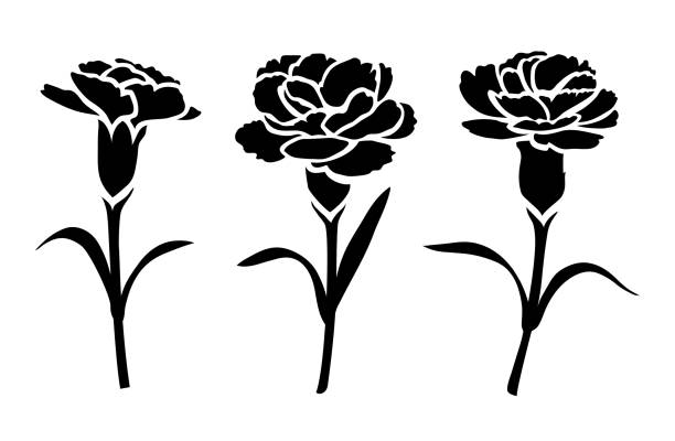 Flower icon. Set of decorative carnation silhouettes isolated on white. vector art illustration