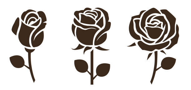 illustrazioni stock, clip art, cartoni animati e icone di tendenza di icona fiore. set di sagome decorative in rosa. - rose