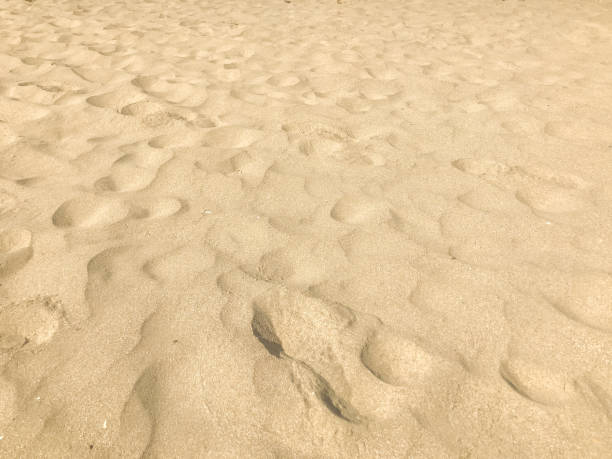 istock Close-Up Of Sand Background Texture 1224532179