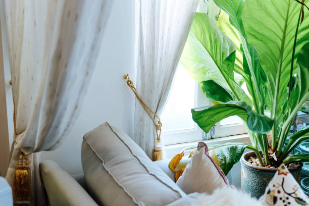 istock Living room decorated with trees 1224532902