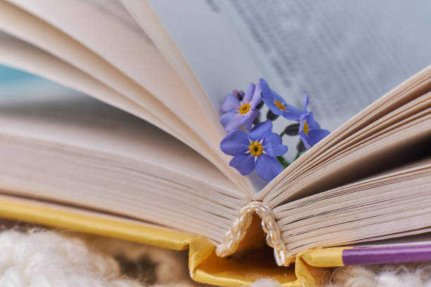 istock macro photo open books with a spring flowers nostalgic romantic mood concept 1224536750