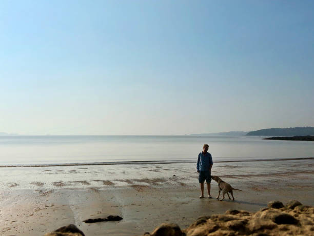 image of man walking at water's edge of sea on sandy beach being sniffed by inquisitive, stray dog, cherai beach seaside tide, kochi / cochin, kerala , india - wild abandon imagens e fotografias de stock