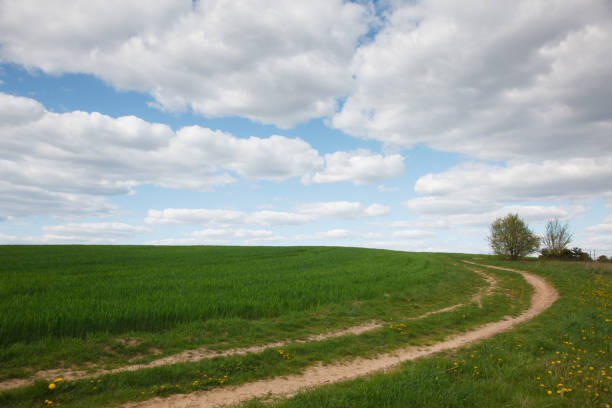 istock The rural landscape in the spring 1224542318