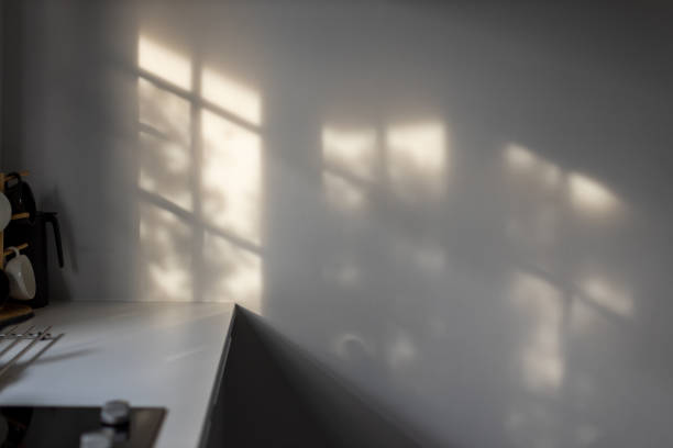 Abstract shadow background of leaves and window from sunlight on white wall at kitchen with copy space