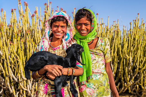 Happy Indian little girls holding a goat, desert village, Thar Desert, Rajasthan, India.