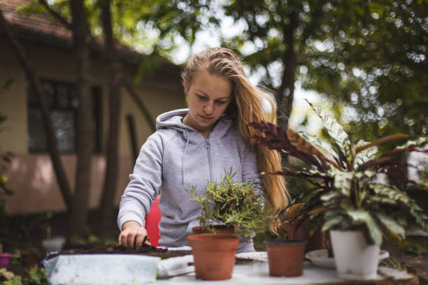 istock Girl transplanting plants 1224544147