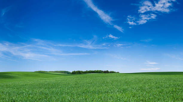 istock Panoramic spring landscape XXXXL 95 MPix - green field, blue sky 1224548371