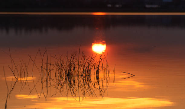 istock Beautiful golden hour on the lake 1224548600