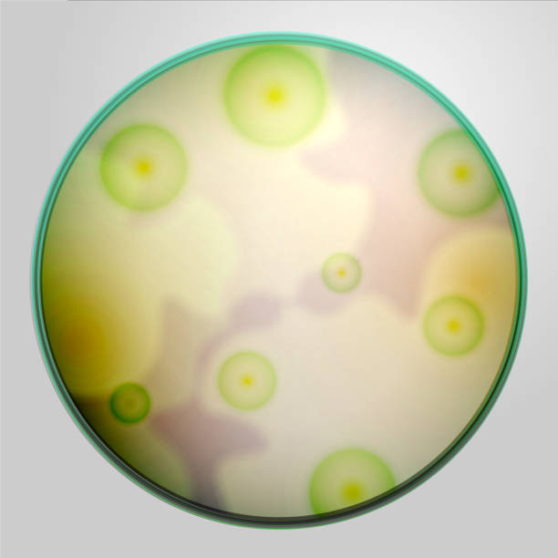 ilustraciones, imágenes clip art, dibujos animados e iconos de stock de plato de petri con agar y moho, hongos - petri dish bacterium virus laboratory