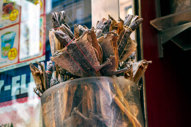 street market dried geckos street market dried geckos on a stick, always sold by pair. tokay gecko stock pictures, royalty-free photos & images