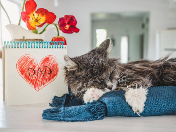 Charming kitten and heart drawing. Side view