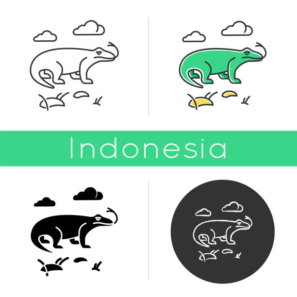 Komodo dragon icon. Tropical country animals. Indonesian islands fauna. Exploring exotic wildlife. Varans in nature. Linear, black, chalk and color styles. Isolated vector illustrations Komodo dragon icon. Tropical country animals. Indonesian islands fauna. Exploring exotic wildlife. Varans in nature. Linear, black, chalk and color styles. Isolated vector illustrations komodo dragon drawing stock illustrations
