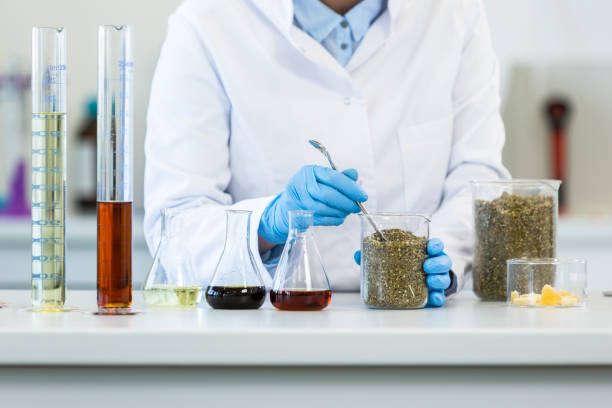 istock Hands wearing gloves working with marijuana seeds during experiment in laboratory. CBD and CBDa oils and glass tubes are on table and tablet is in backgorund. Healthcare pharmacy from cannabis. 1224557603