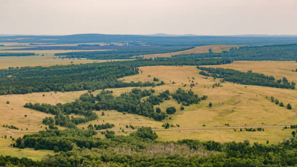 istock landscape landscape of hills and fields 1224557821
